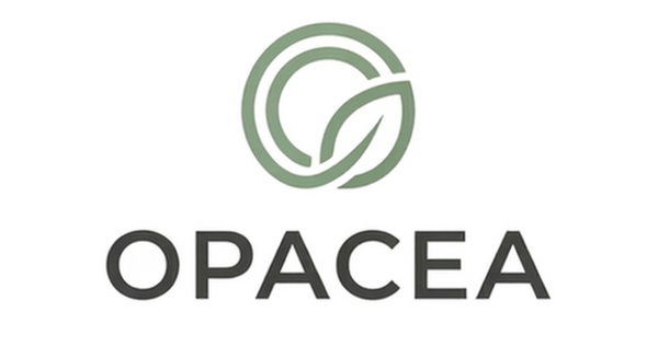 Opacea